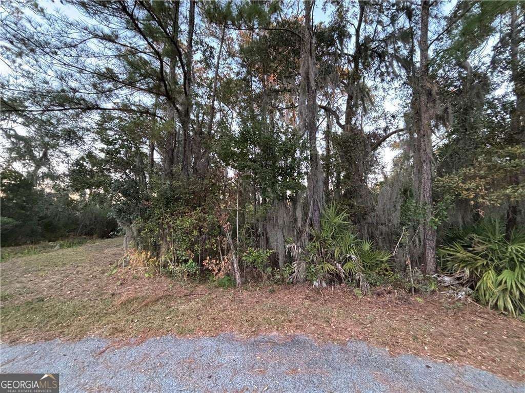 residential lot for sale at 147 Picket Run, Brunswick, GA 31520