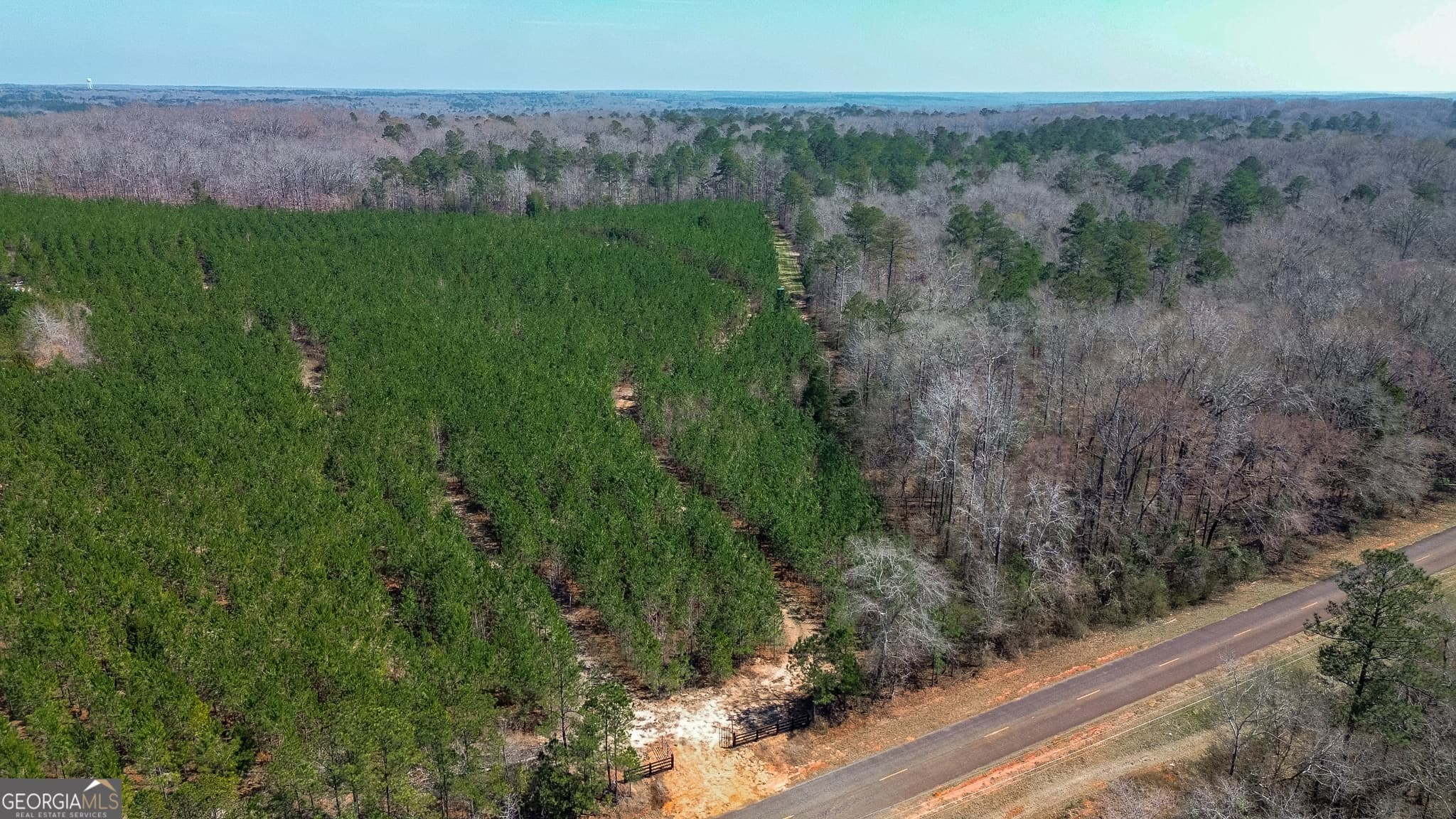 agriculture sold at 0 Dozier Road, Ellaville, GA 31806