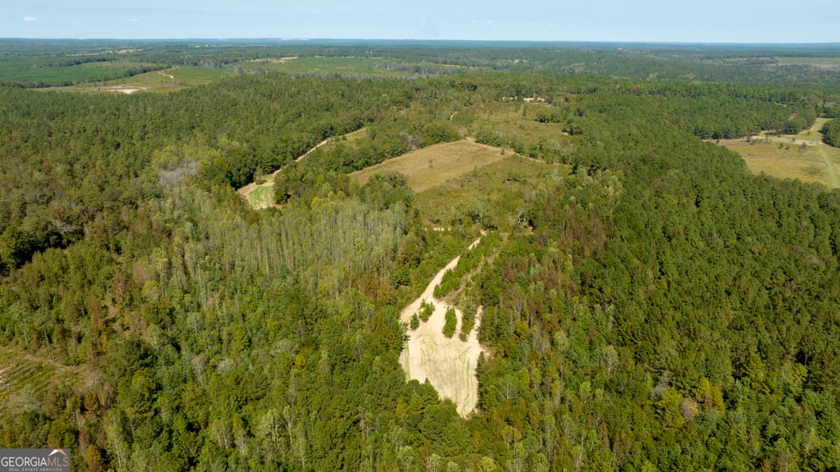 agriculture sold at 0 Poole Road, Ellaville, GA 31806