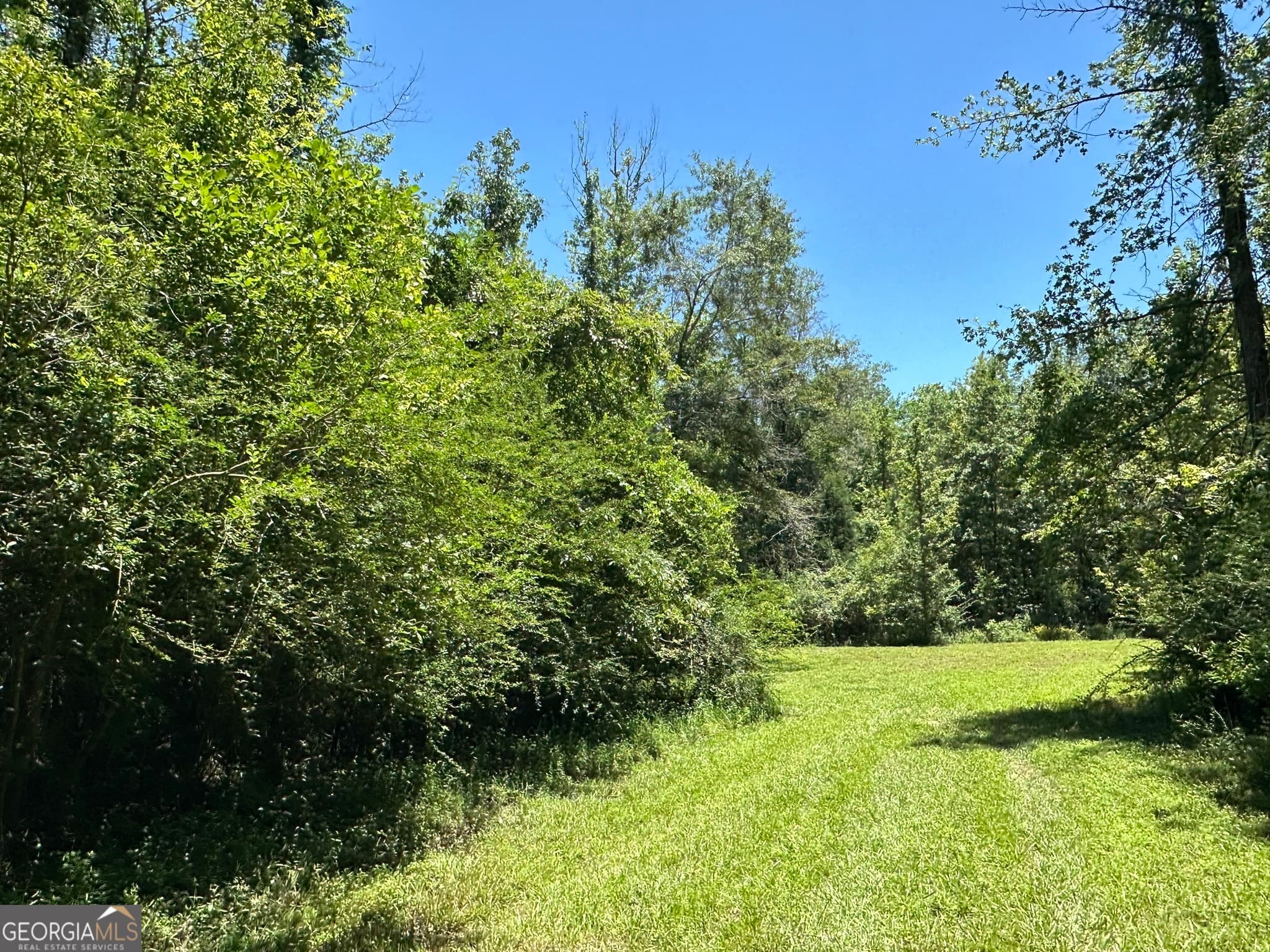 agriculture sold at 003 Case Road, Slocumb, AL 36375