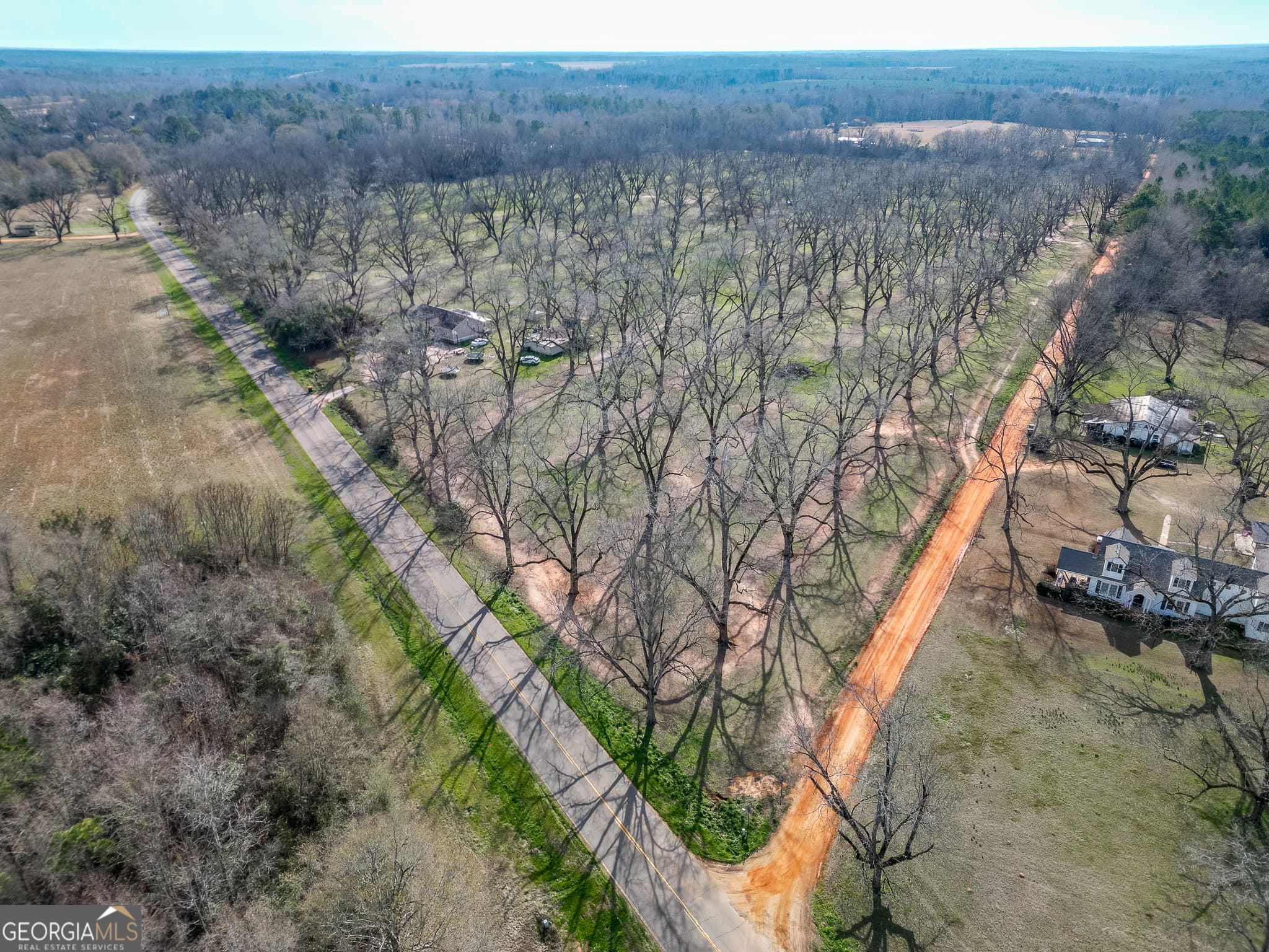 agriculture sold at 0 Old Hwy 19 South, Ellaville, GA 31806