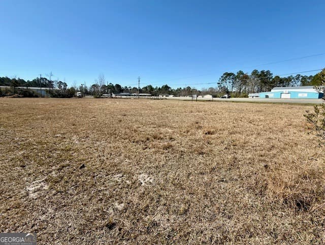 unimproved land for sale at 0 Hatch Parkway, Baxley, GA 31513