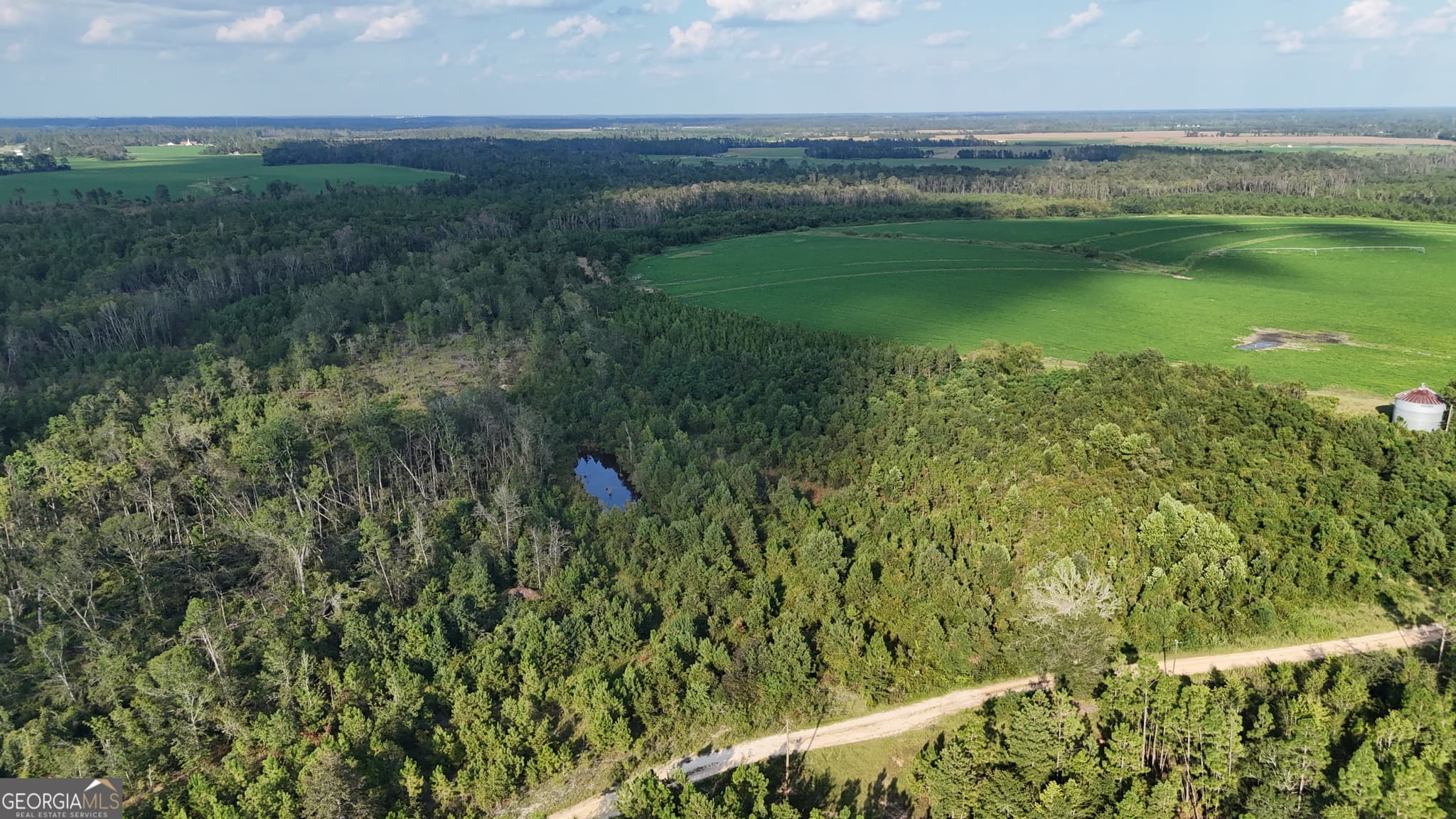 agriculture for sale at TRACT 3 Rhonda Coleman Road, Hazlehurst, GA 31539