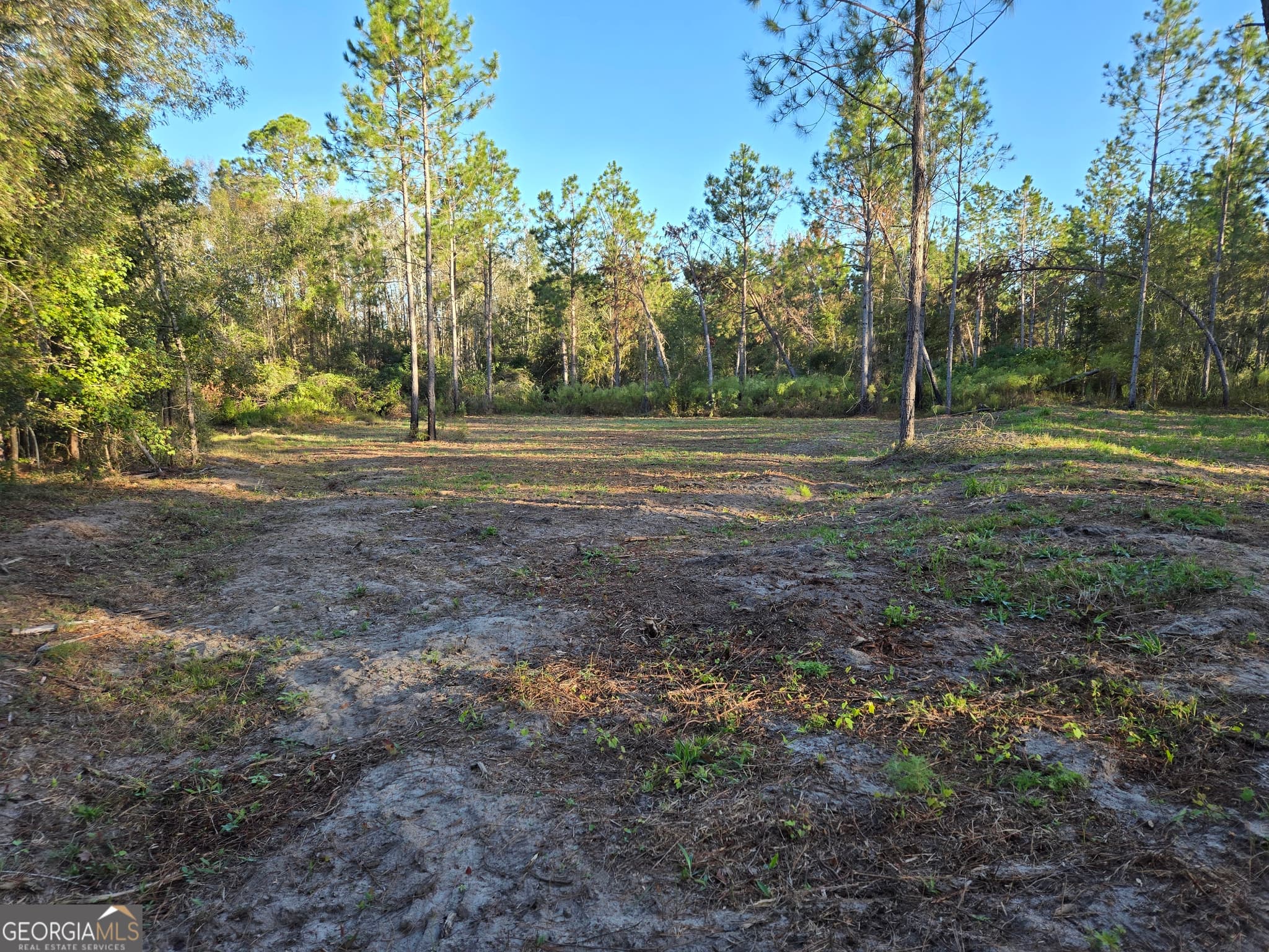 residential lot for sale at 600 Alton Lawson Road, Adrian, GA 31002