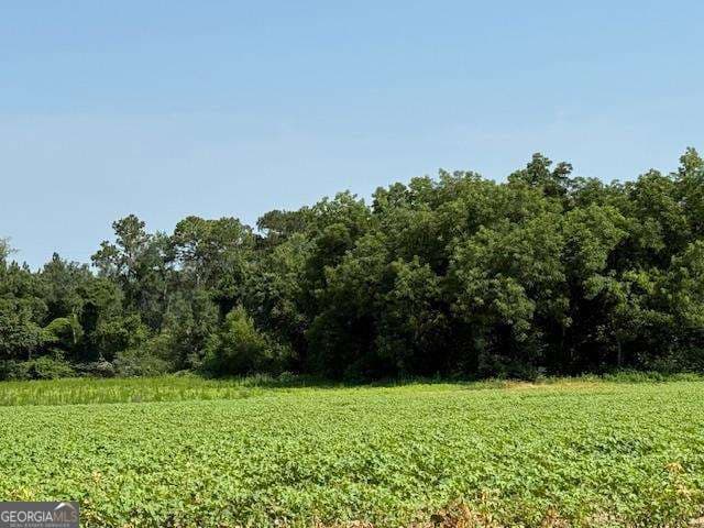 agriculture sold at 0 Gibbs Road N/A, Sumner, GA 31789