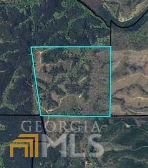 agriculture sold at 0 Carter's Mill Road, Talbotton, GA 31827