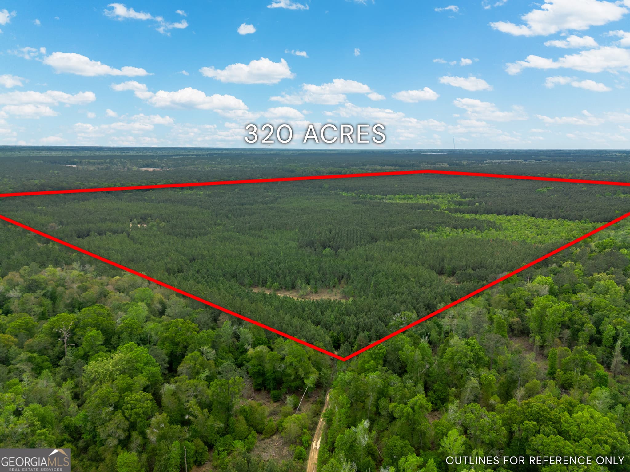 agriculture for sale at 0 Highway 129, Abbeville, GA 31001