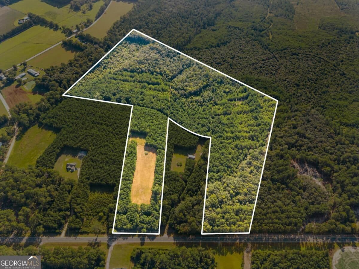 unimproved land for sale at 0 Hwy 67, Pembroke, GA 31321