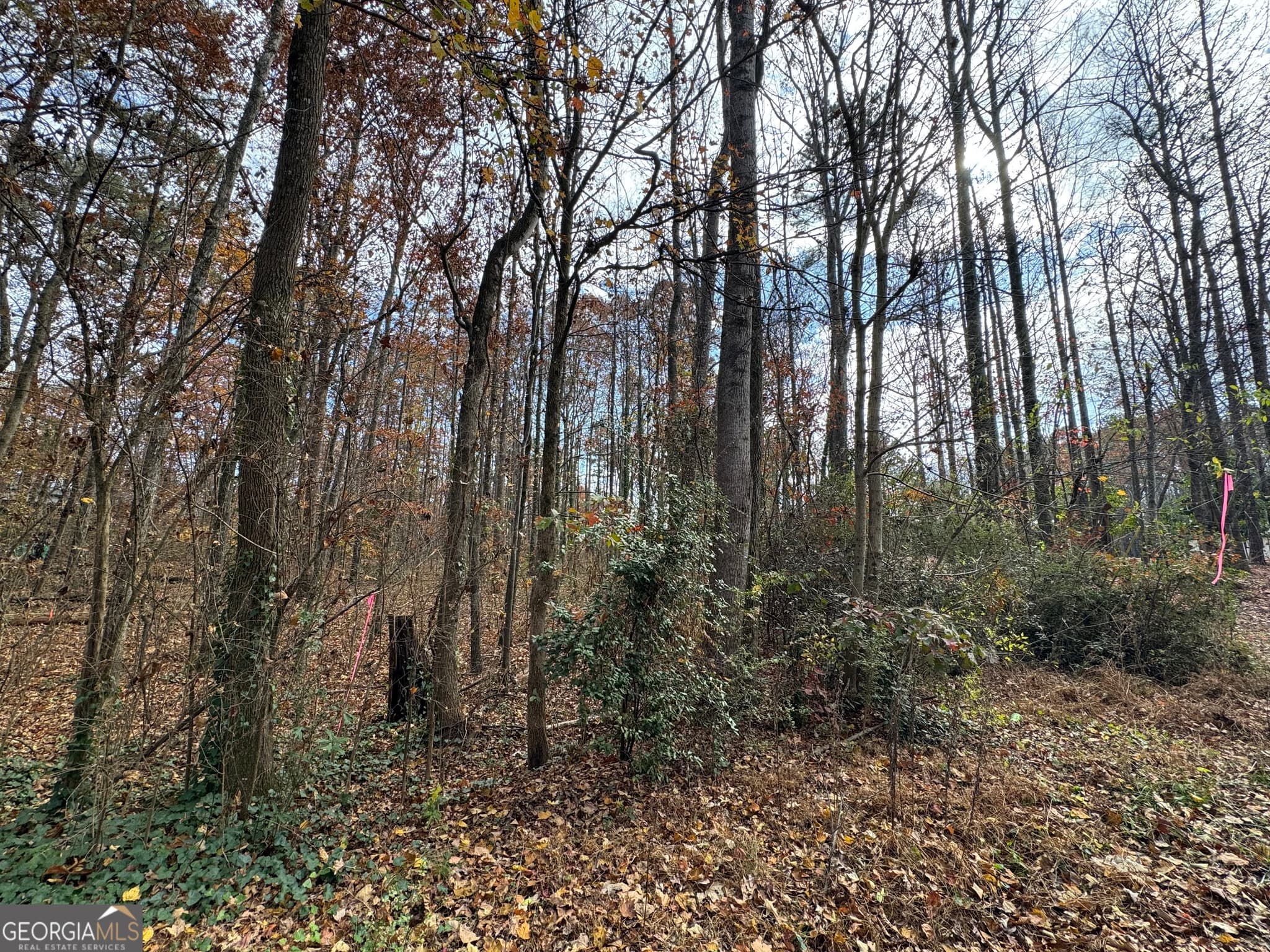 5 bedroom, 3 bathroom, 4,000 sq ft single family residence for sale at 0 Hamby Road, Acworth, GA 30102