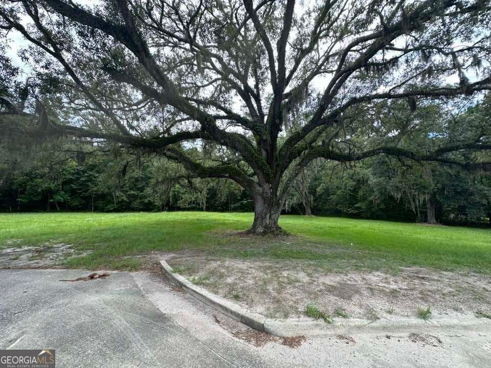 commercial for sale at 6461 New Jesup Highway, Brunswick, GA 31523