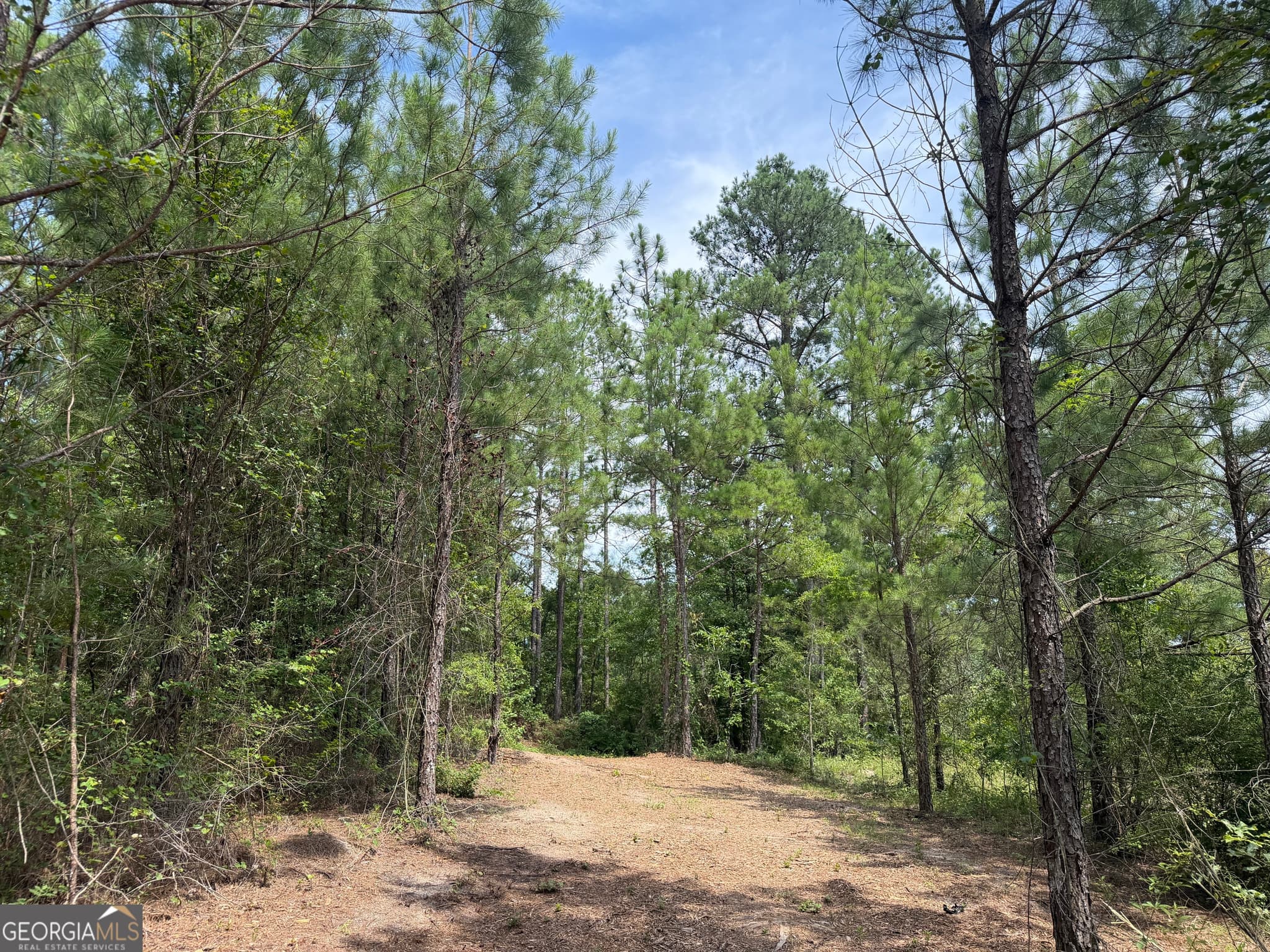 agriculture for sale at 005B Cleghorn Drive, Tallassee, AL 36078
