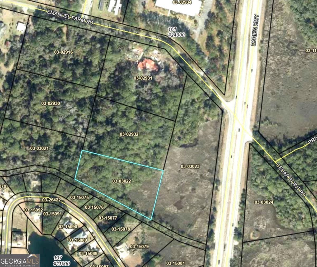 residential lot for sale at TR 6 Emanuel Farm Road, Brunswick, GA 31525