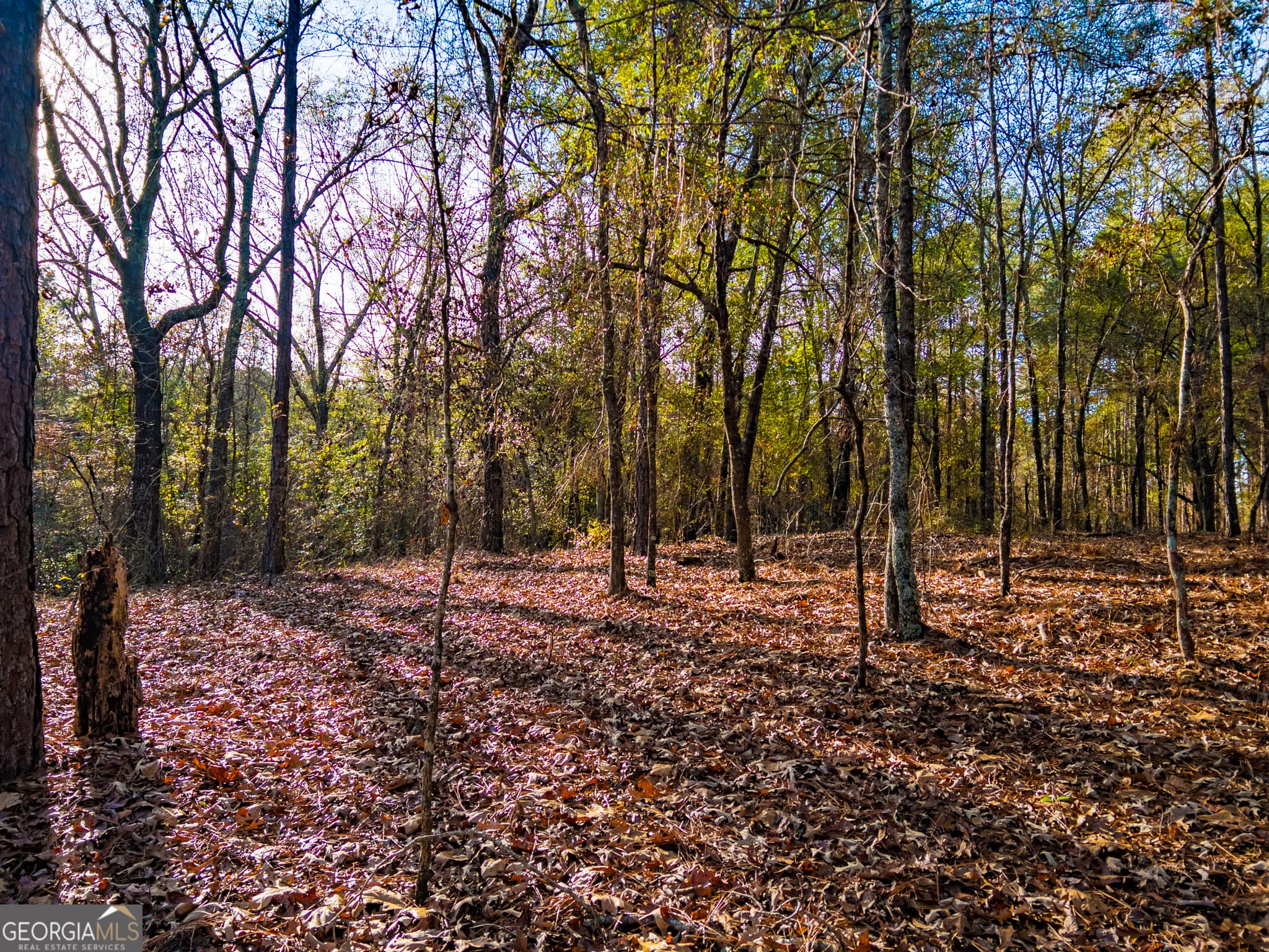 agriculture under contract at 0 Roberta Highway, Butler, GA 31006