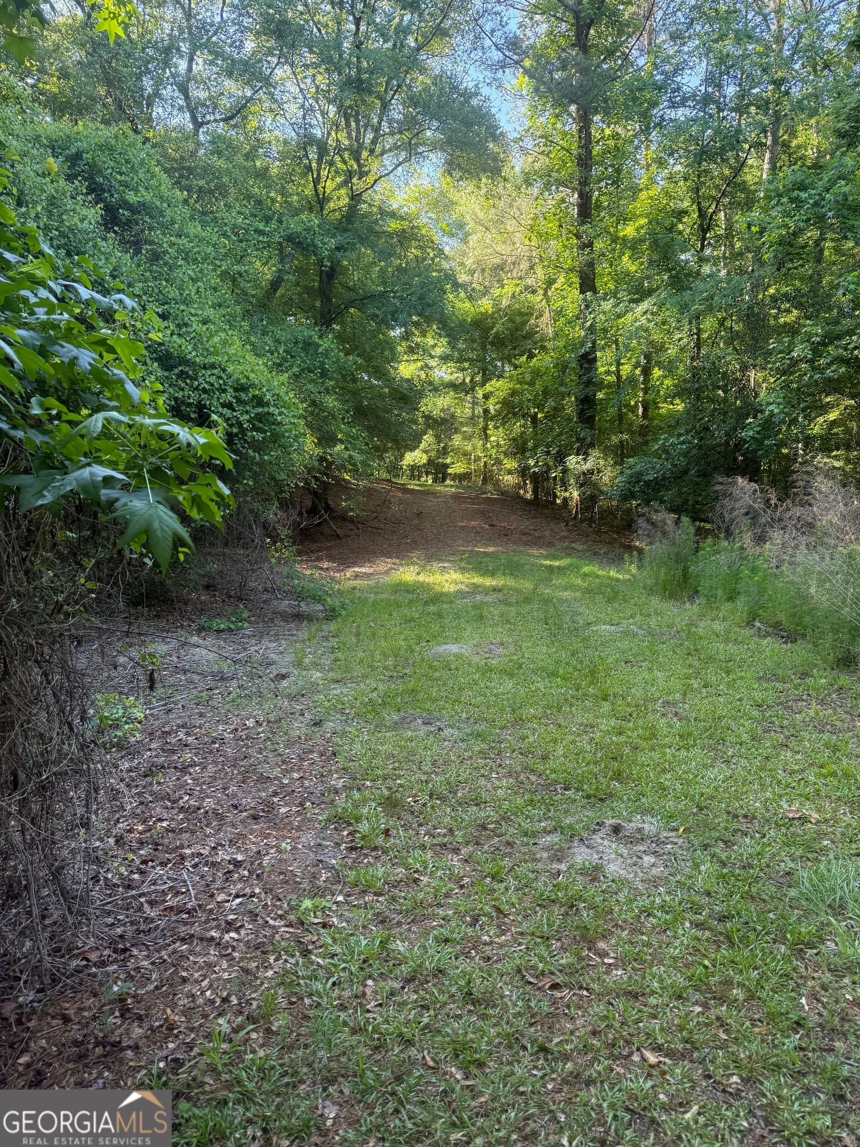 agriculture for sale at 0 Thomas Street, Montezuma, GA 31063