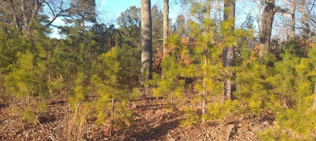 other for sale at 4771 Highway 92, Acworth, GA 30102