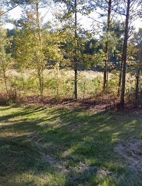 other sold at 2203 S Flat Rock Road, Douglasville, GA 30134