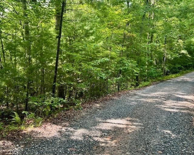 single family residence sold at 0 Hillbilly Holler, Blue Ridge, GA 30513