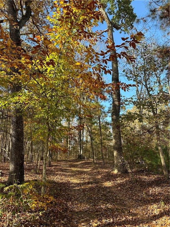 other sold at 0 Theodore Cox Circle, Canton, GA 30114