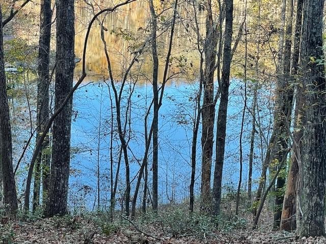 single family residence sold at LOT242 S Laceola Road, Cleveland, GA 30528