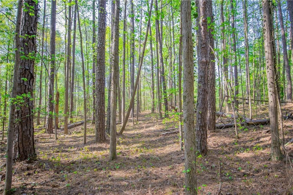 single family residence sold at 0 White City Road, Atlanta, GA 30337