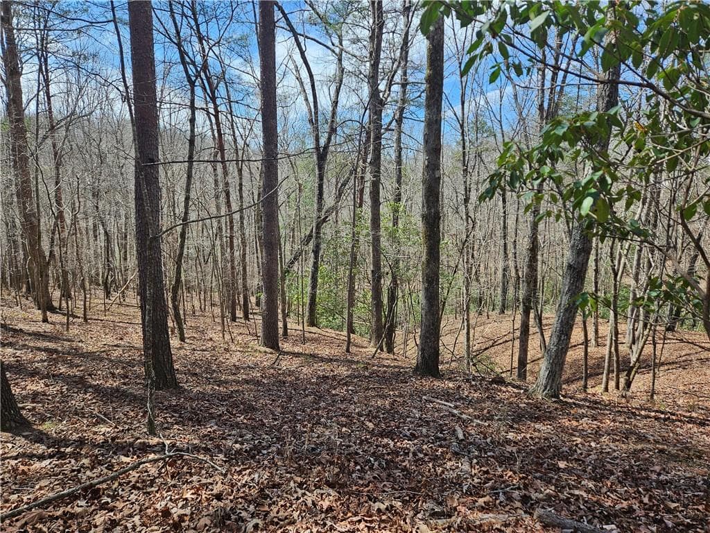 single family residence sold at 0 Bumpy Trail, Dawsonville, GA 30534