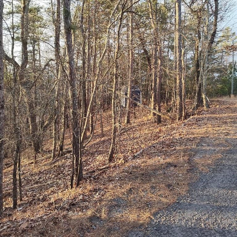single family residence sold at 332 Paladin Drive, Ranger, GA 30734