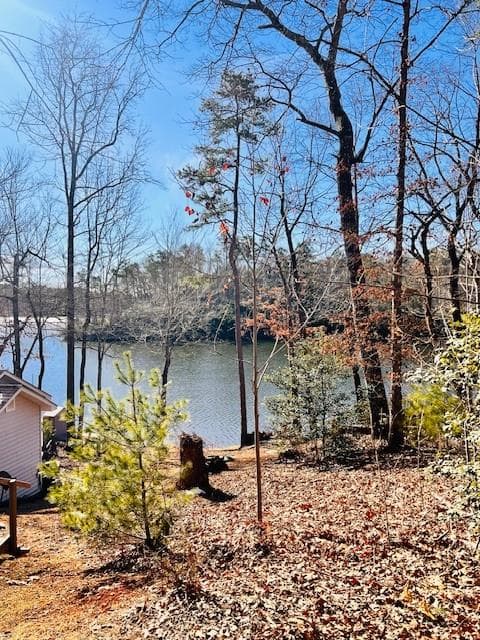 1085 Mountain Shadows Dr Drive, Cleveland, GA 30528 — most recent listing photo