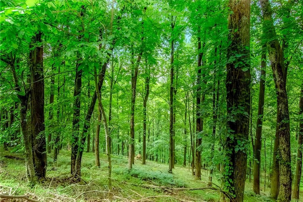 other sold at M165 Walnut Mountain, Ellijay, GA 30540