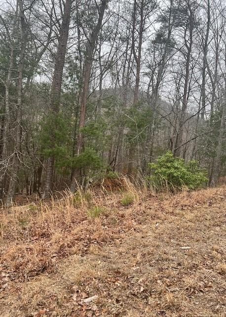 other sold at 0 Sharp Top Mountain Trail, Jasper, GA 30143