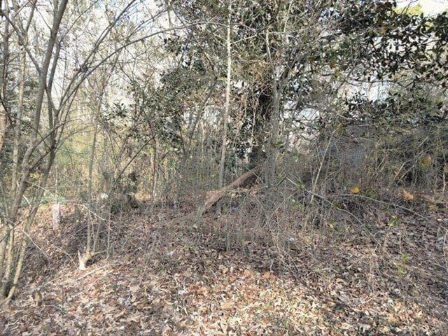 single family residence sold at 1156 Stephenson Road, Stonecrest, GA 30087