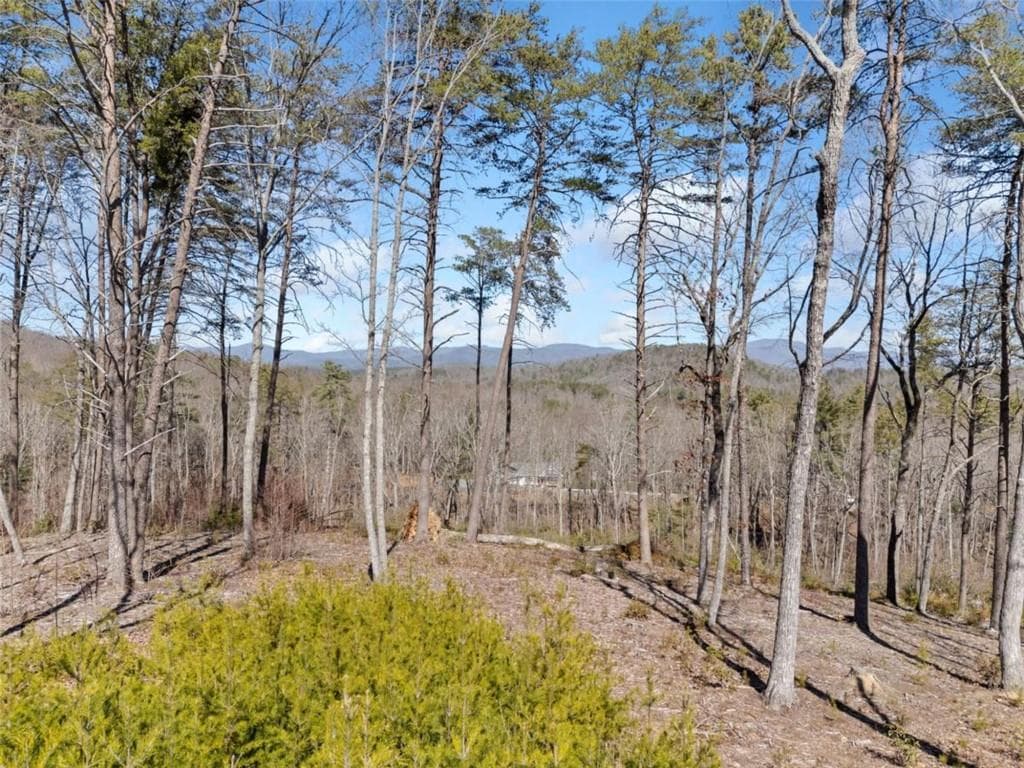 single family residence sold at 65 Waterfall Lane Nw, Sautee Nacoochee, GA 30571