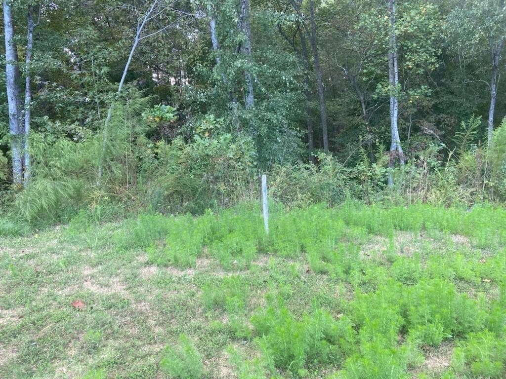 70 Wood Chuck Court, Auburn, GA 30011 — most recent listing photo