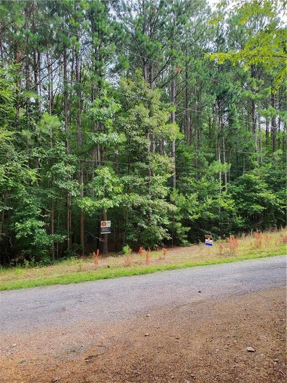 other sold at 000 Shaw Street, Kingston, GA 30145