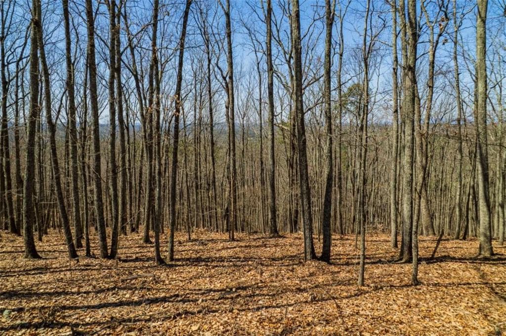 single family residence for sale at Lot 35 Heatherwood Way, Talking Rock, GA 30175