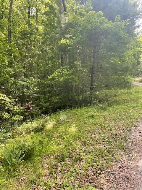 0 McCormick Drive, Dawsonville, GA 30534 — most recent listing photo