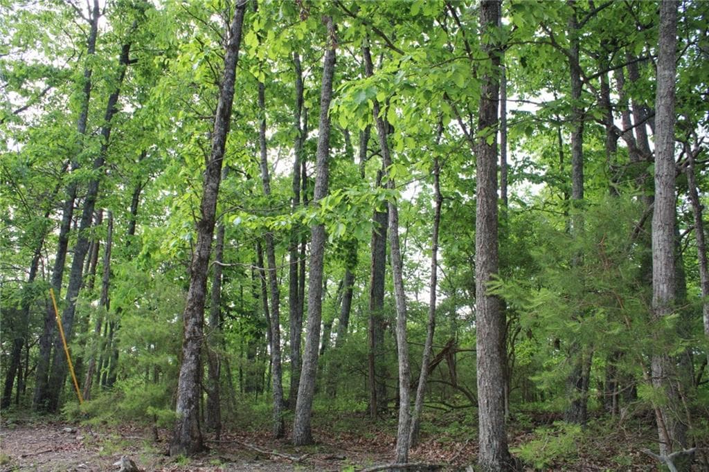 other for sale at 1427 Jasper Court, Ranger, GA 30734