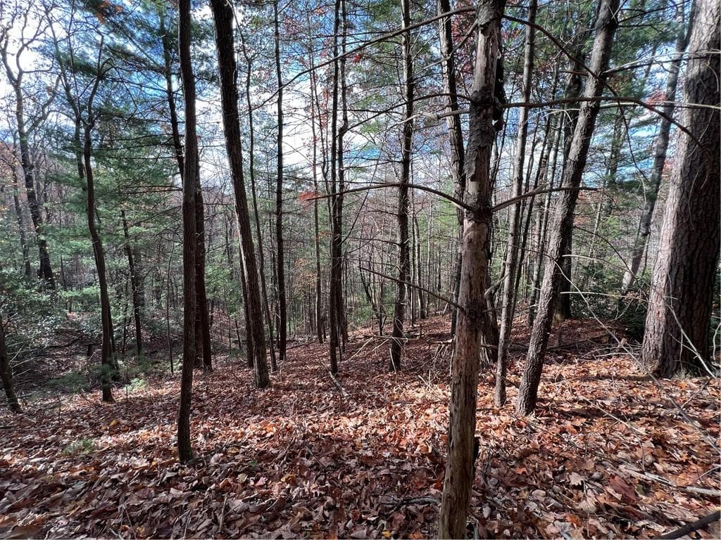 single family residence sold at J-273 Pine Ridge Road, Ellijay, GA 30536