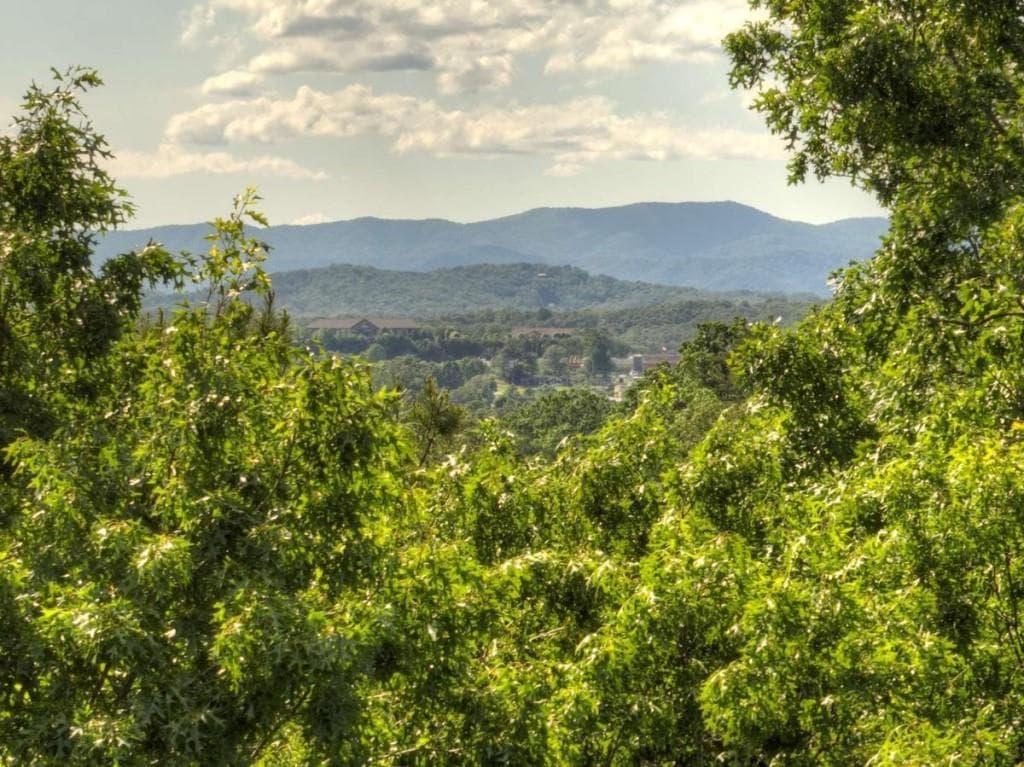 other sold at LT 15 Tanglewood Cove Lane, Blue Ridge, GA 30513