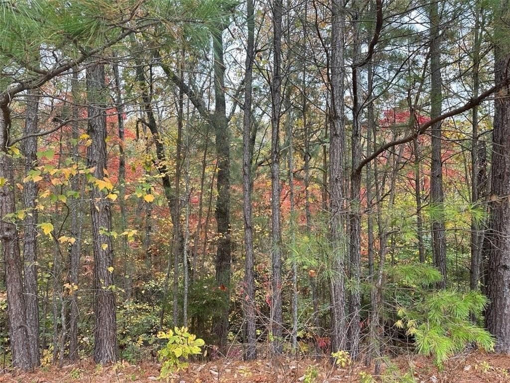 single family residence sold at 125 Spring Lake Trail, White, GA 30184