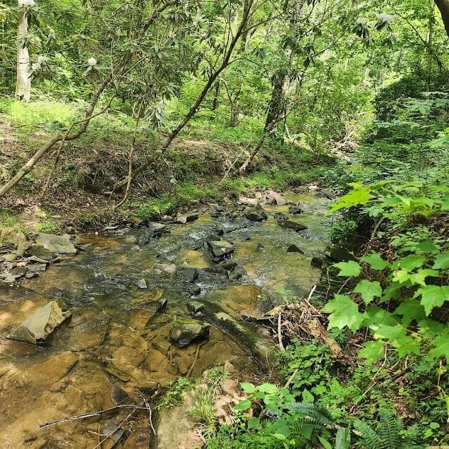 0 Woodstone Trail, Ellijay, GA 30540 — most recent listing photo