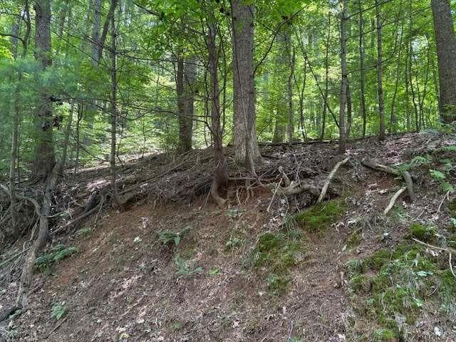 single family residence for sale at 0 Mountain View Court, Ellijay, GA 30536