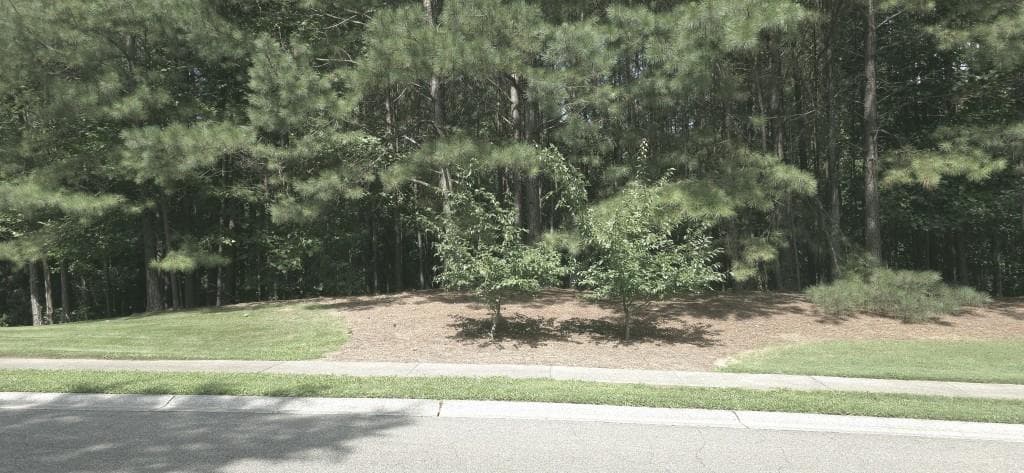 single family residence sold at 815 Waterford Estates Manor, Canton, GA 30115