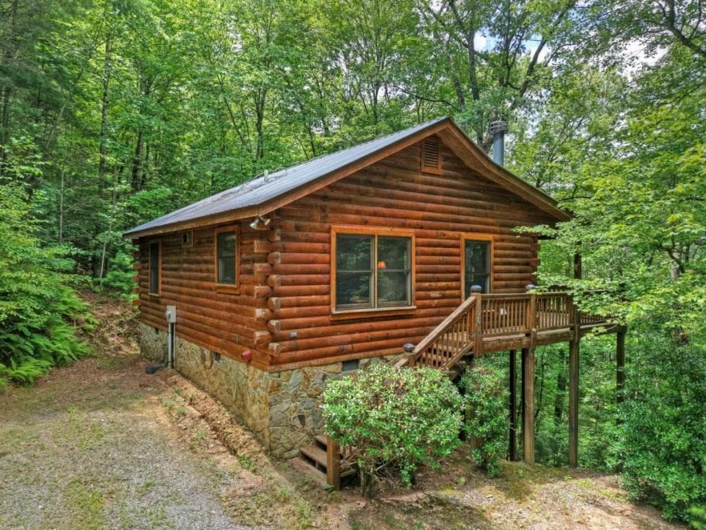 2 bedroom, 1 bathroom, 672 sq ft single family residence sold at 156 Dupont Drive, Blue Ridge, GA 30513