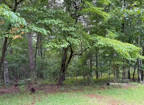 other sold at Lot 13 Olivia Lane, Ball Ground, GA 30107