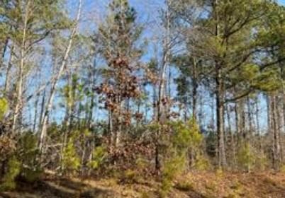 other sold at --- Steadman #32 Road, Tallapoosa, GA 30176