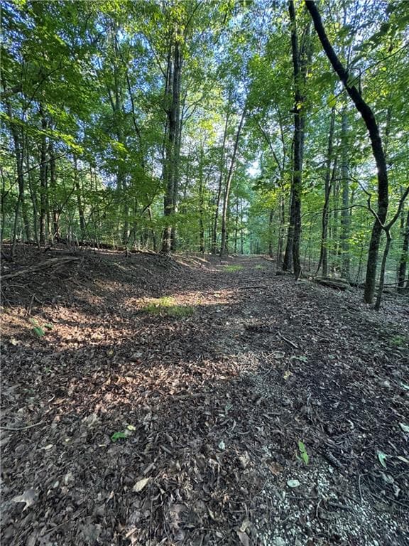 single family residence sold at 0 Bull Gap Road, Talking Rock, GA 30175