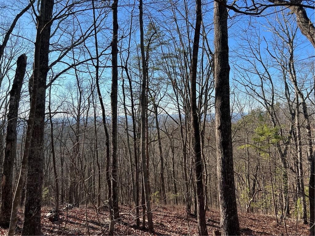 single family residence sold at 197 Stirratt Road, Ranger, GA 30734