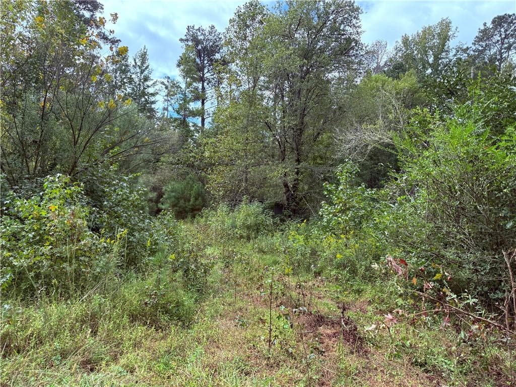 other sold at 80 Sanders Creek Road, Tallapoosa, GA 30176