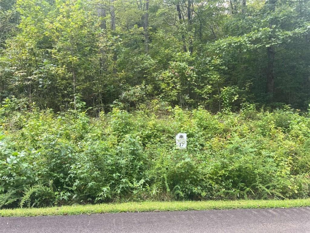 single family residence for sale at LOT 17 Staurolite Mountain Drive, Blue Ridge, GA 30513