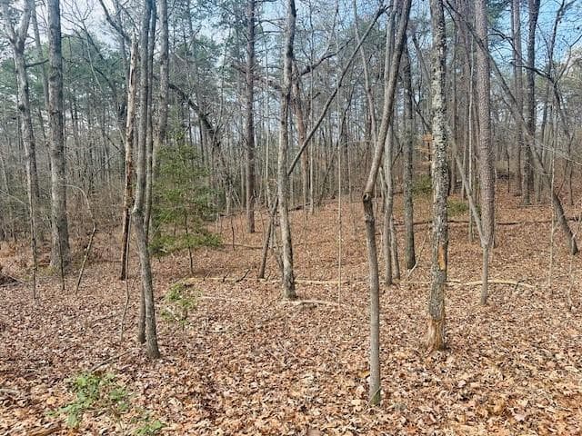 single family residence sold at Lot 28 Fern Park Drive, Dawsonville, GA 30534